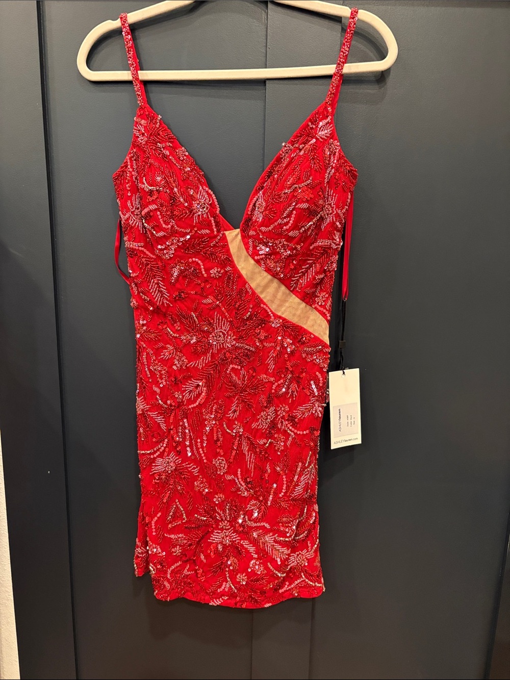 667.  Ashley Lauren 4589 Red Embellished V-Neck Slip Dress